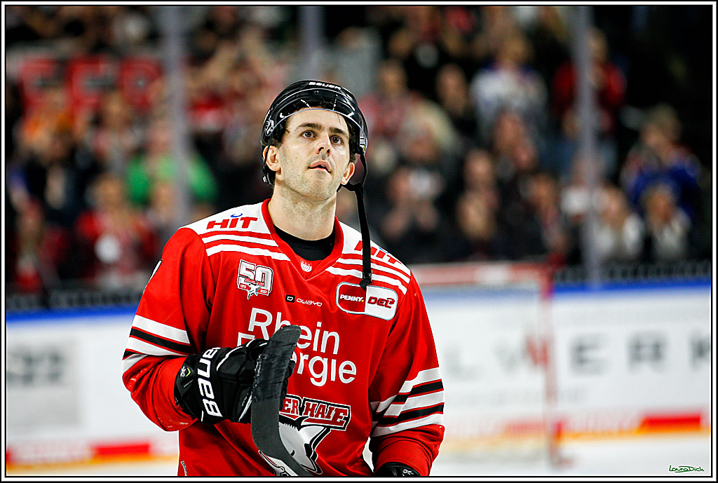 PENNY DEL; Koelner Haie- Red BUll Muenchen; Koeln, 08.11.2022
